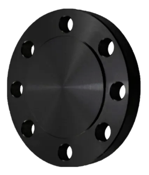 Flange cego